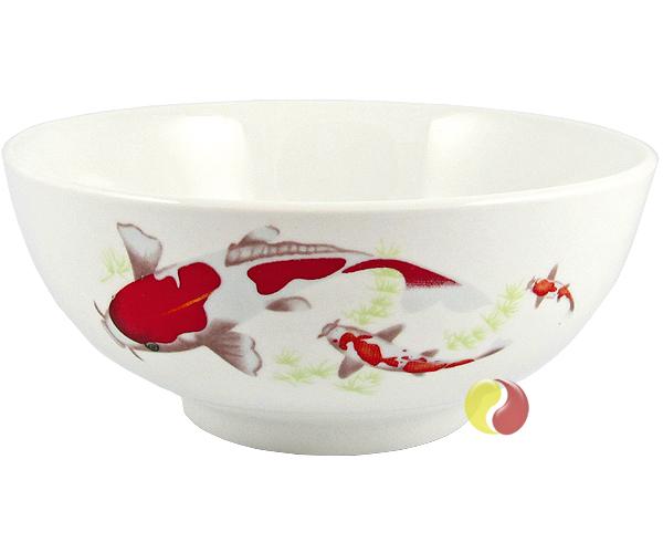 Schale, roter Koi